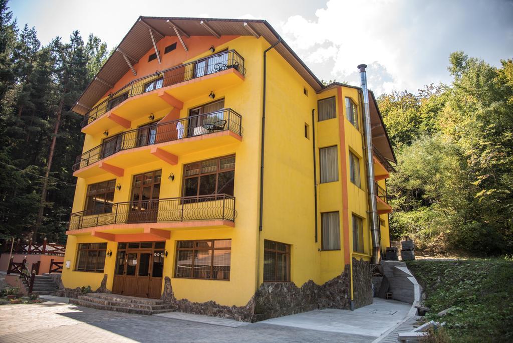 Hotel Trei Brazi Baile Olanesti Ngoại thất bức ảnh